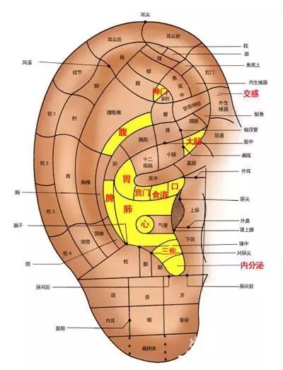 1584411123299888.jpg 2.jpg