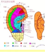 1584411272973594.jpg 3.jpg