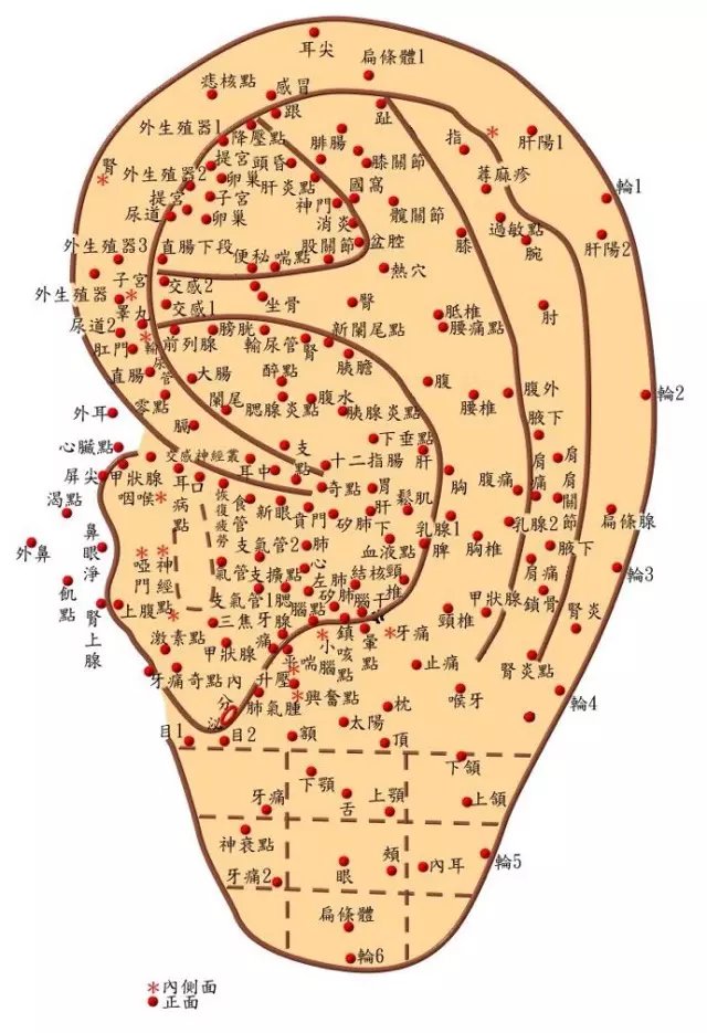 1584411489628909.jpg 8.jpg